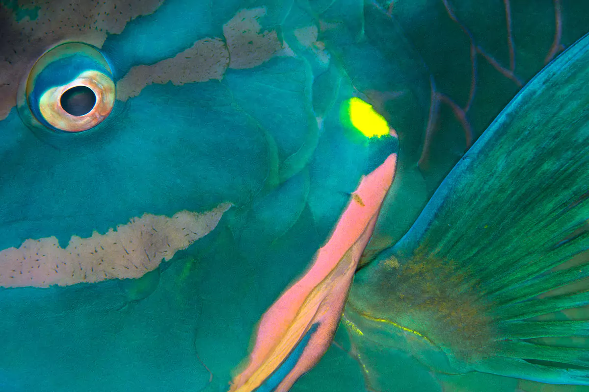 creative-nature-wall-art-print